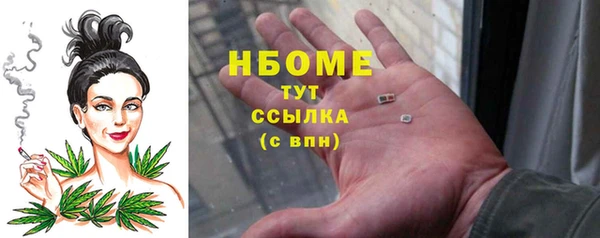 сатива Армянск