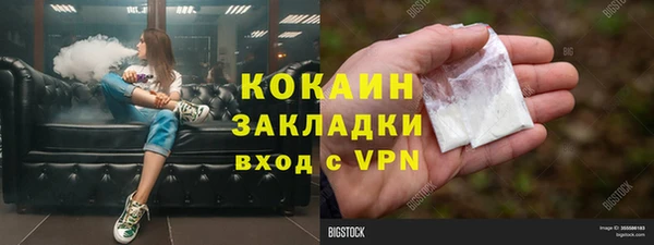 сатива Армянск