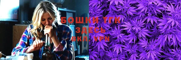 прущие грибы Богородицк