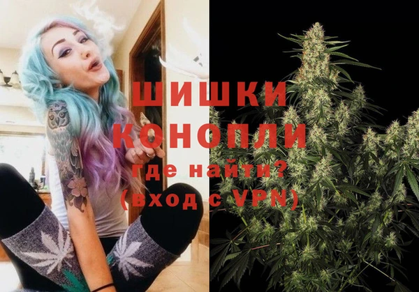 сатива Аркадак