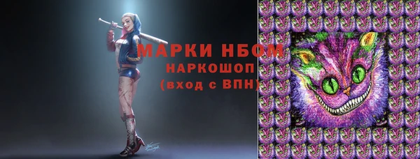 прущие грибы Богородицк