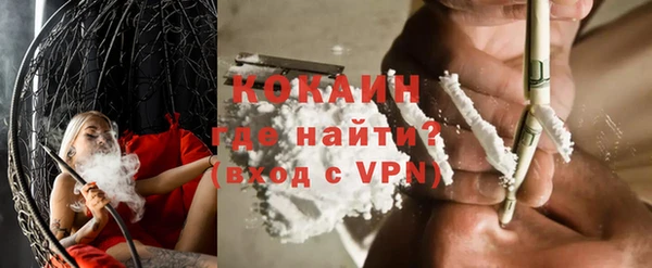 прущие грибы Богородицк