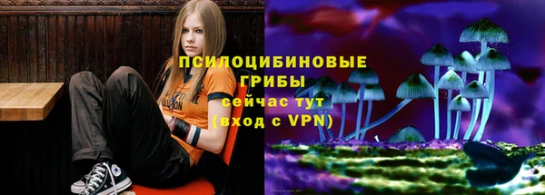 таблы Арсеньев