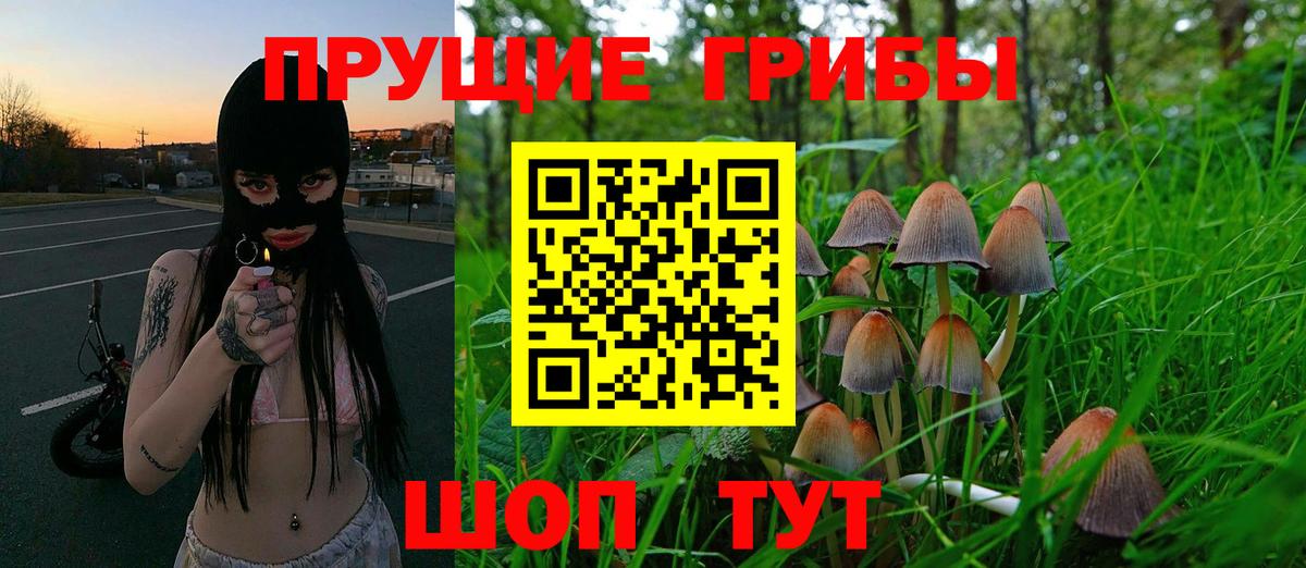 Псилоцибиновые грибы Psilocybine cubensis  Галлюциногенные грибы Magic Shrooms  Вход с VPN  Коломна 