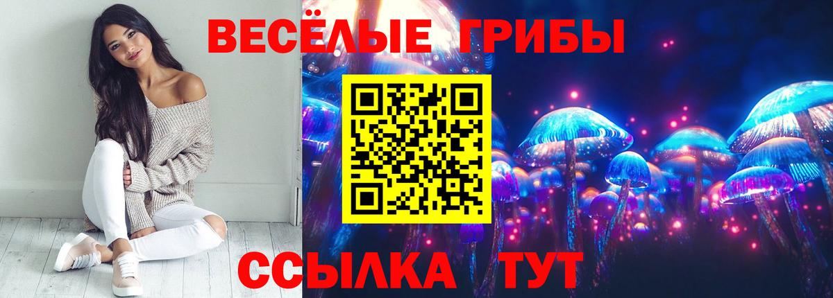  COCAIN Коломна